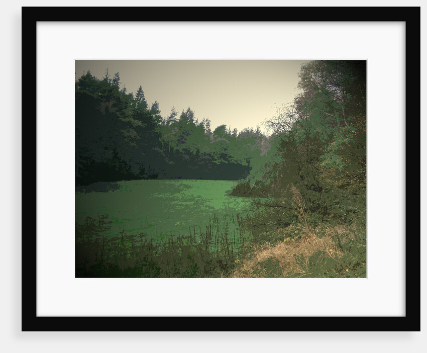 Riverside Clearing in Shallcross Wood by Sarah Smith