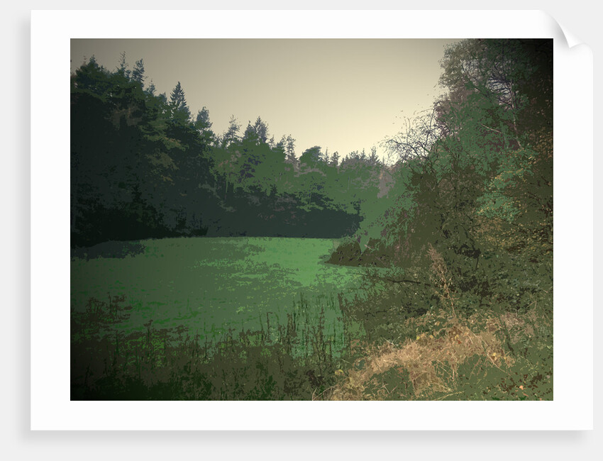 Riverside Clearing in Shallcross Wood by Sarah Smith