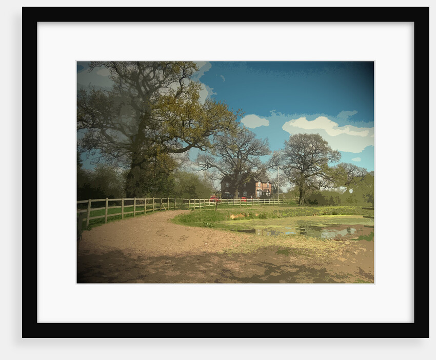 Pond by Mill Cottage by Sarah Smith