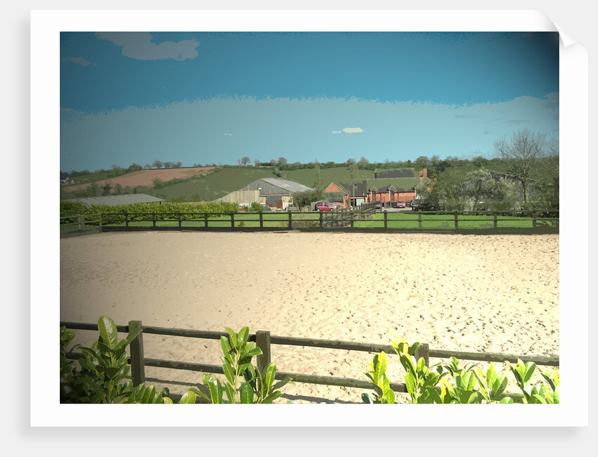 The Beeches by Sarah Smith