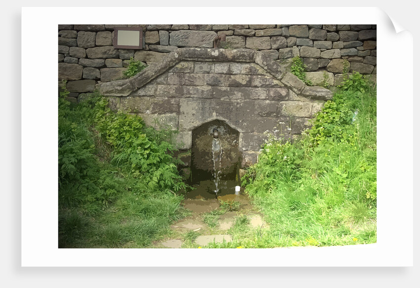 Unfailing Spring near Hazelwood Hall by Sarah Smith