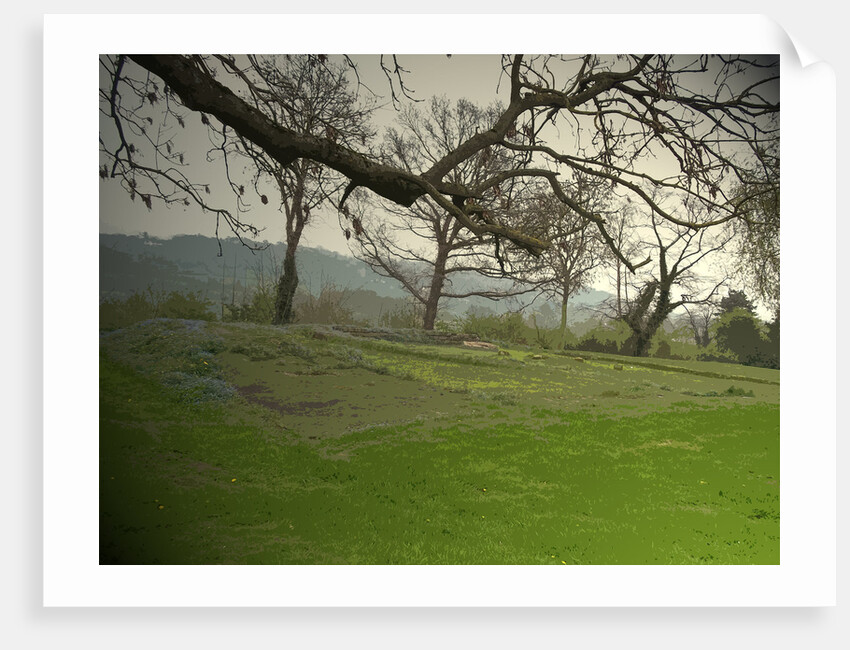 Remains of Duffield Castle by Sarah Smith