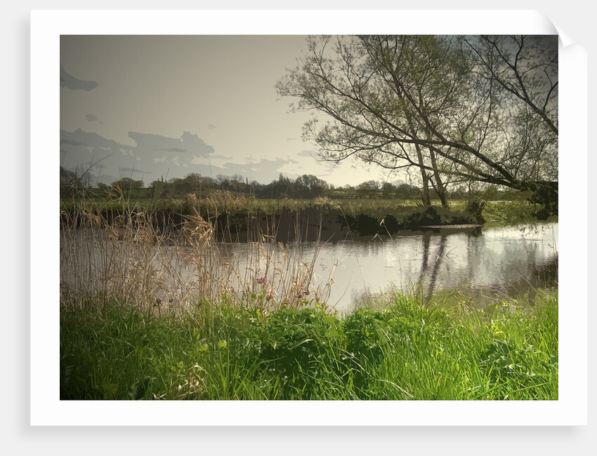 Longford Brook by Sarah Smith