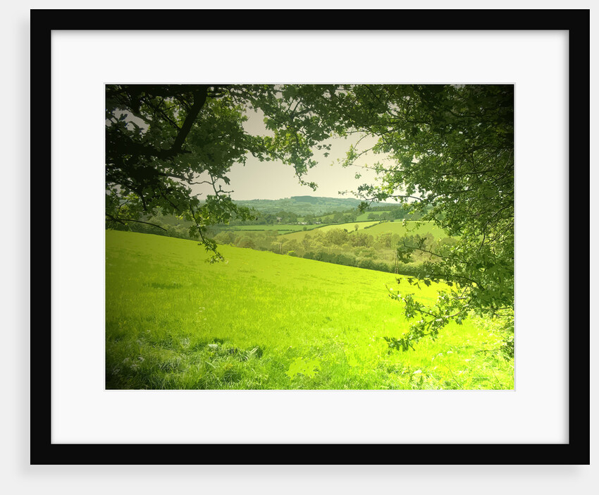 Stretton Hillside by Sarah Smith