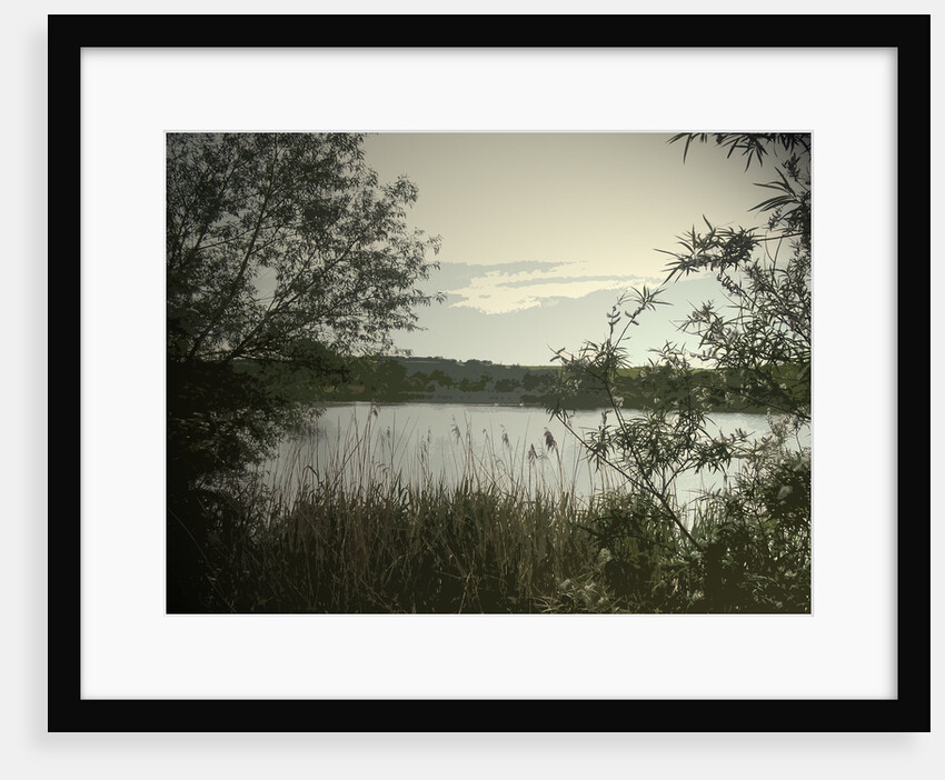Main Pond at Carr Vale Flash Nature by Sarah Smith