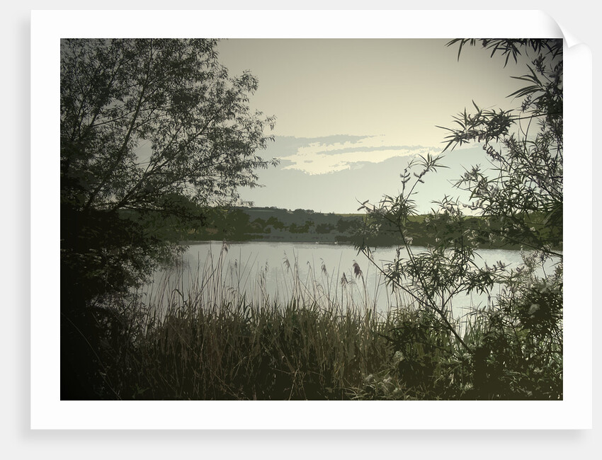 Main Pond at Carr Vale Flash Nature by Sarah Smith