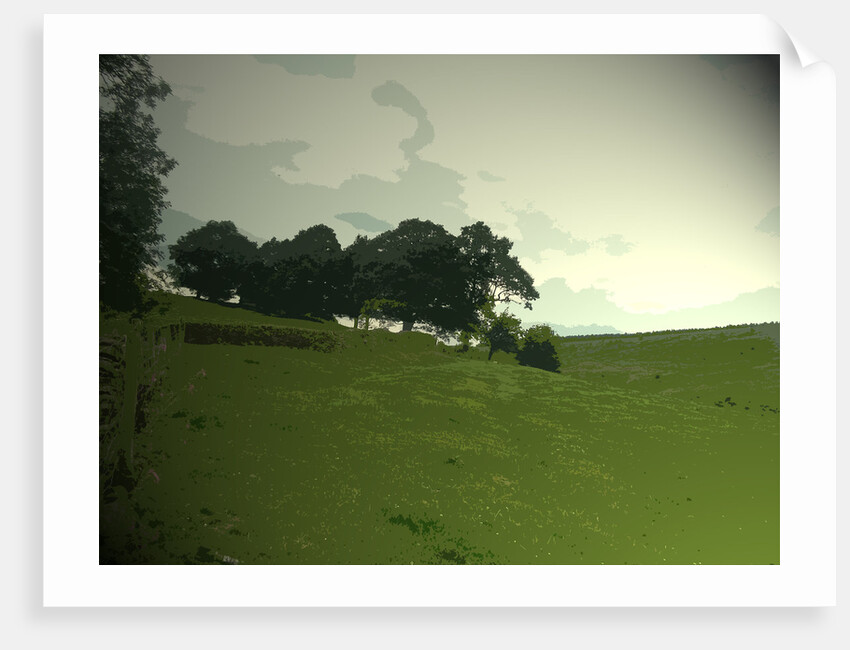 Pasture at Edale End by Sarah Smith