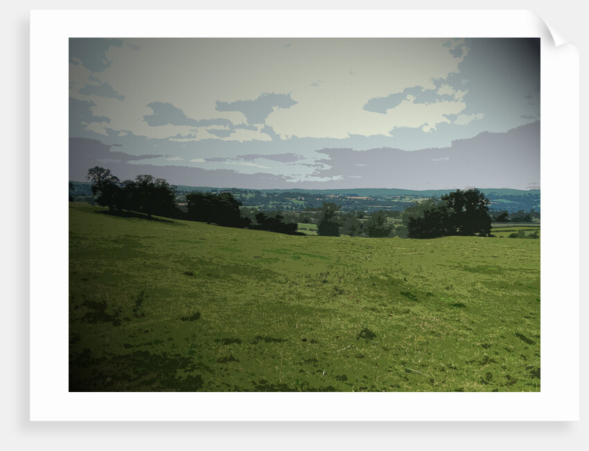 Grazing Land near The Shawleys by Sarah Smith