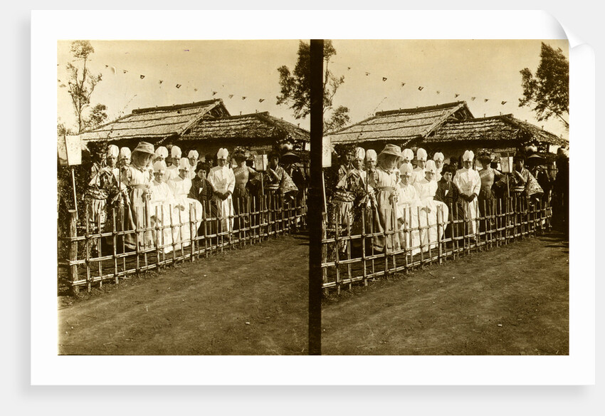 Group portrait of Japanese medical personnel and others dressed in Western and traditional style clothing seated near a building over which hang small flags by Anonymous