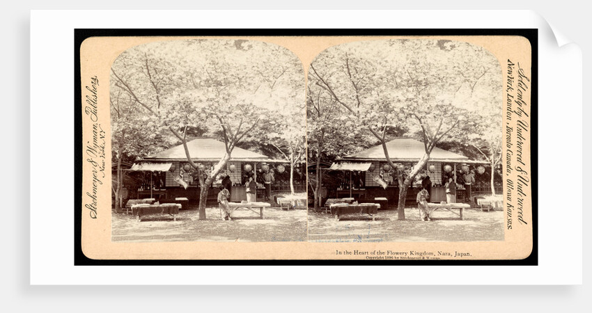 In the heart of the flowery kingdom, Nara, Japan by Anonymous