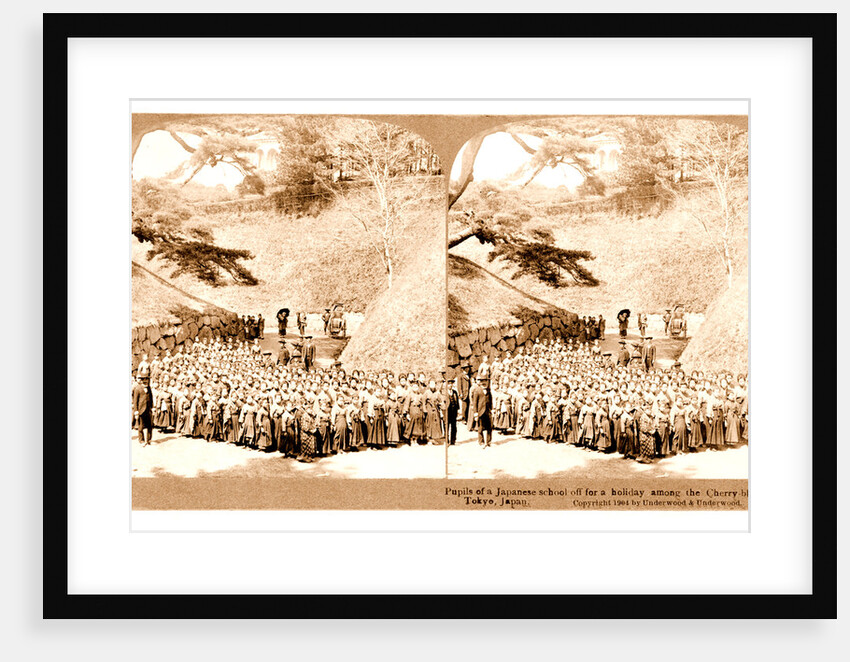 Pupils of a Japanese school off for a holiday among the cherry blossoms, Tokyo by Anonymous