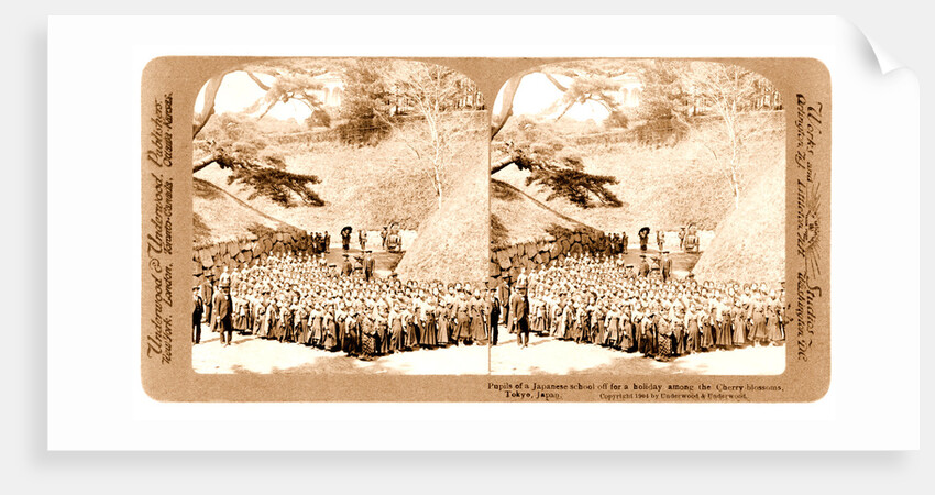Pupils of a Japanese school off for a holiday among the cherry blossoms, Tokyo by Anonymous