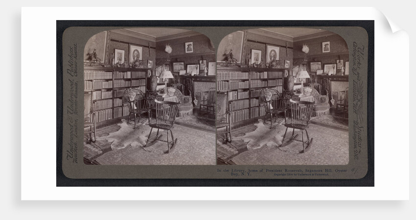In the library, home of President Roosevelt, Sagamore Hill, Oyster Bay, N.Y by Anonymous
