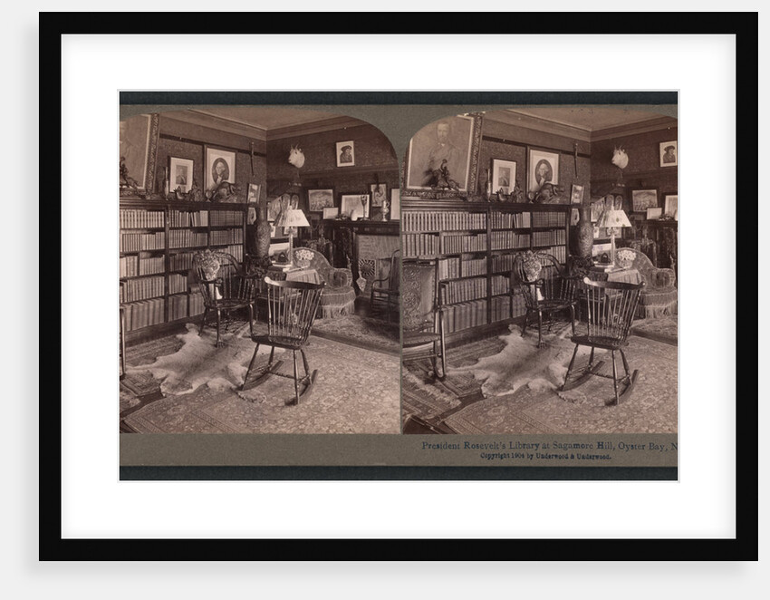 President Roosevelt's library at Sagamore Hill, Oyster Bay, N.Y by Anonymous