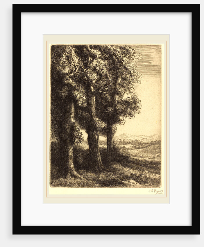 Corner of a Wood by Alphonse Legros