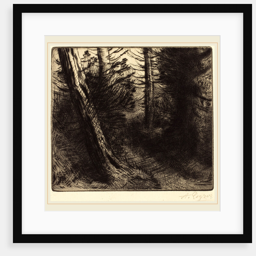 Path through the Woods by Alphonse Legros