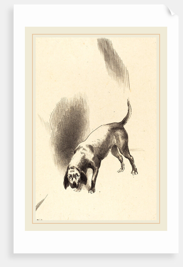 The Dog, 1896 by Odilon Redon