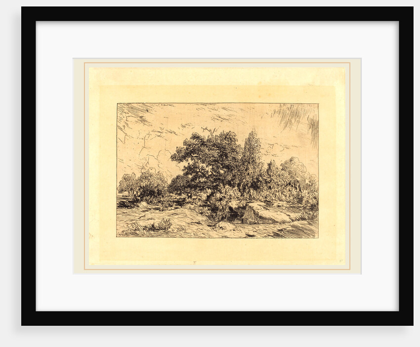 Vue du Plateau de Bellecroix by Théodore Rousseau