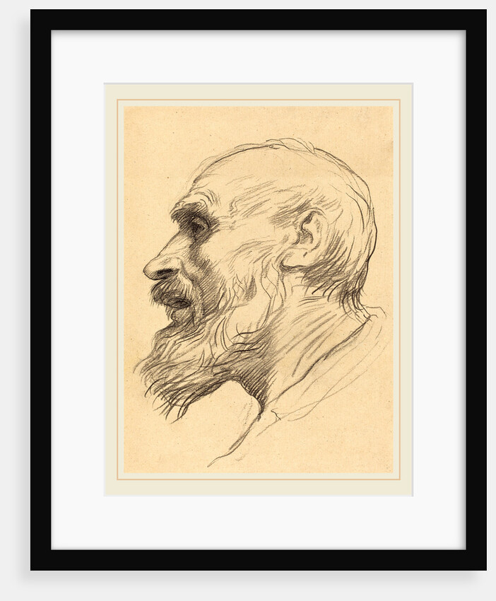Head of an Old Man by Alphonse Legros