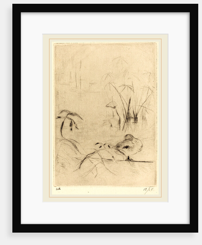 Ducks at Rest on the Bank by Berthe Morisot