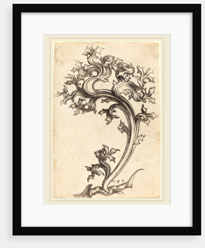 Thistle Ornament by Martin Schongauer