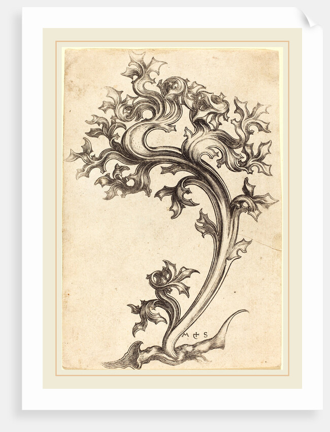 Thistle Ornament by Martin Schongauer