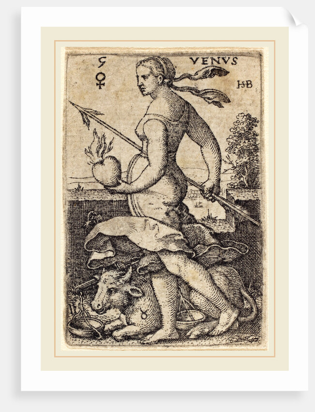 Venus by Sebald Beham