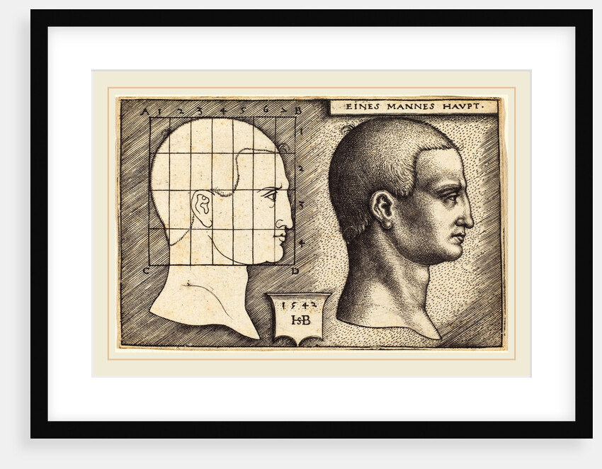 Head of a Man, 1542 by Sebald Beham