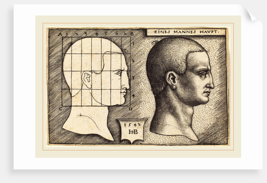 Head of a Man, 1542 by Sebald Beham