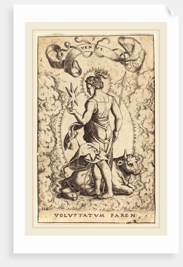 Venus by Sebald Beham