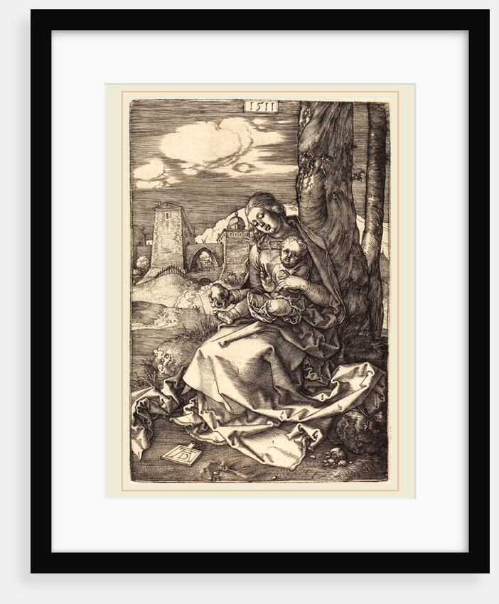 The Virgin and Child with the Pear, 1511 by Albrecht Dürer