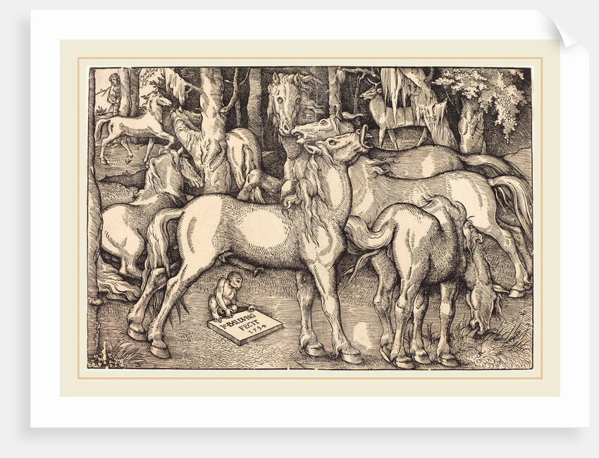 Group of Seven Horses, 1534 by Hans Baldung Grien