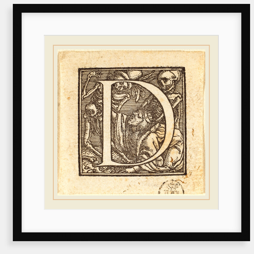 Letter D by Hans Holbein the Younger