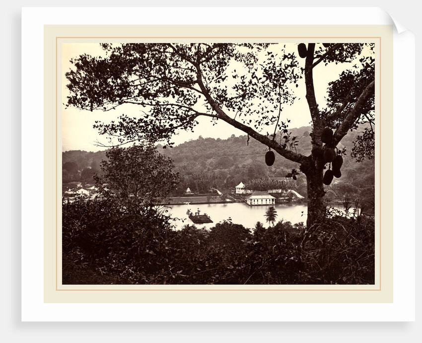 A Peep from Upper Lake Road showing Temple and Island with Park, fruit tree in foreground, c.1865 by Samuel Bourne