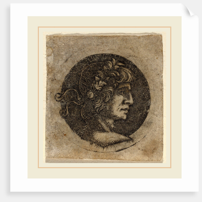 Head of a Roman Emperor by Circle of Francesco Francia