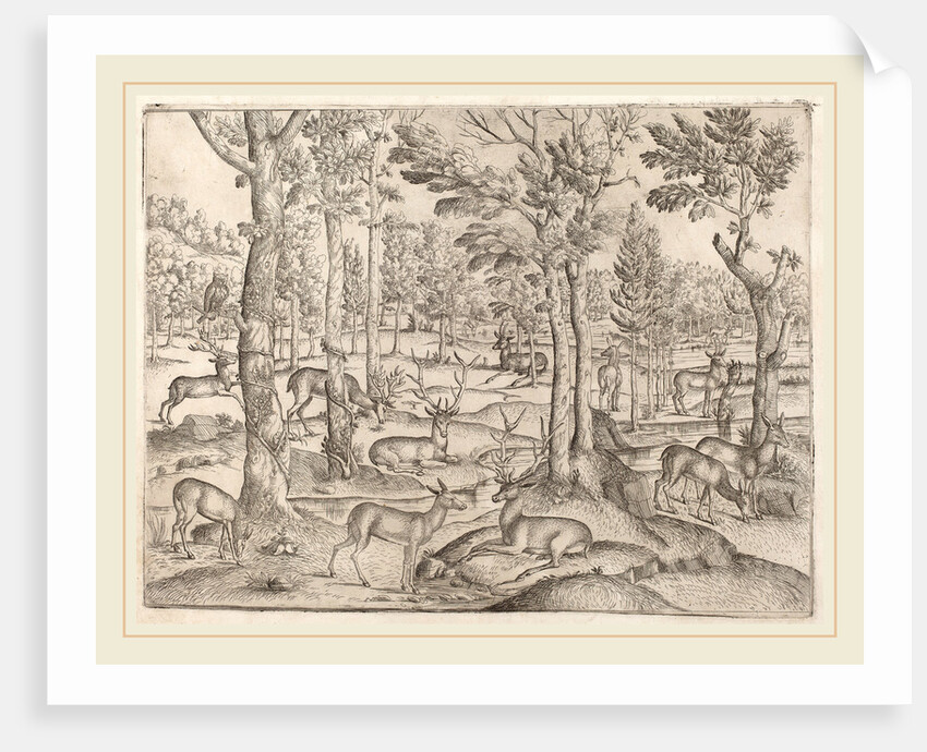 Deer in the Forest, c. 1520 by Anonymous