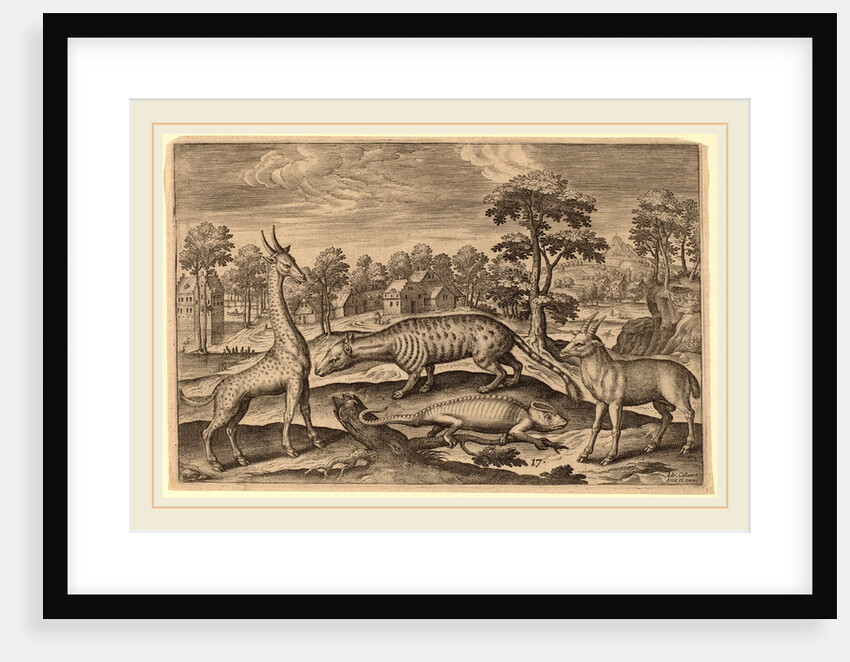 Animalium Quadrupedum by Adriaen Collaert