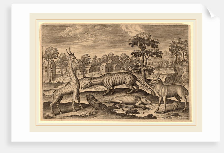 Animalium Quadrupedum by Adriaen Collaert