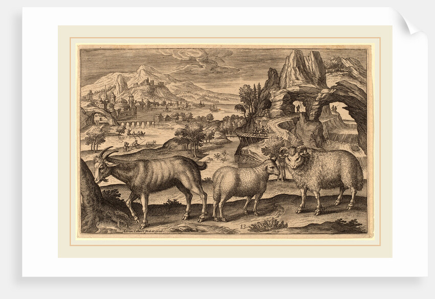 Animalium Quadrupedum by Adriaen Collaert