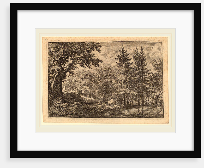 Fir Trees at the Water by Allart van Everdingen