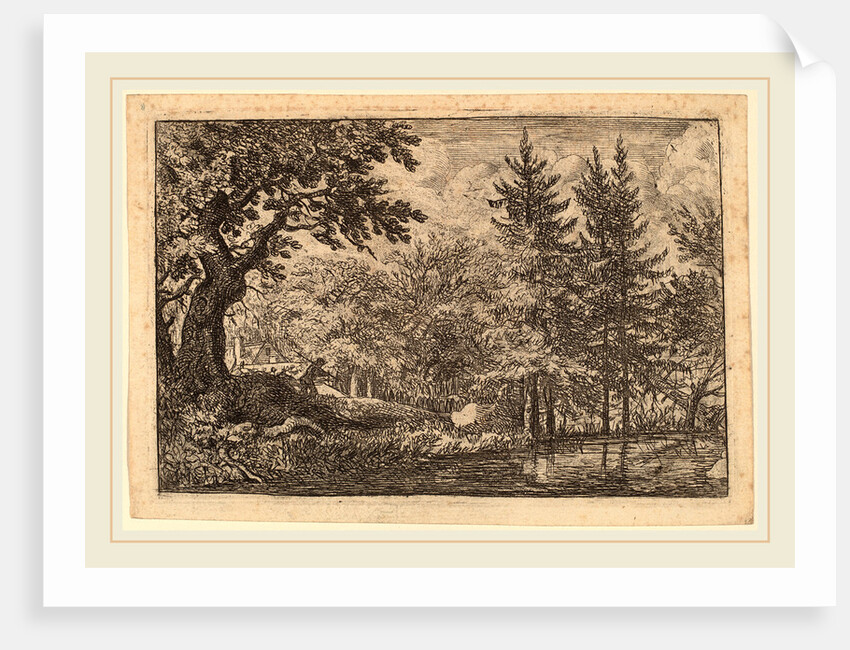 Fir Trees at the Water by Allart van Everdingen