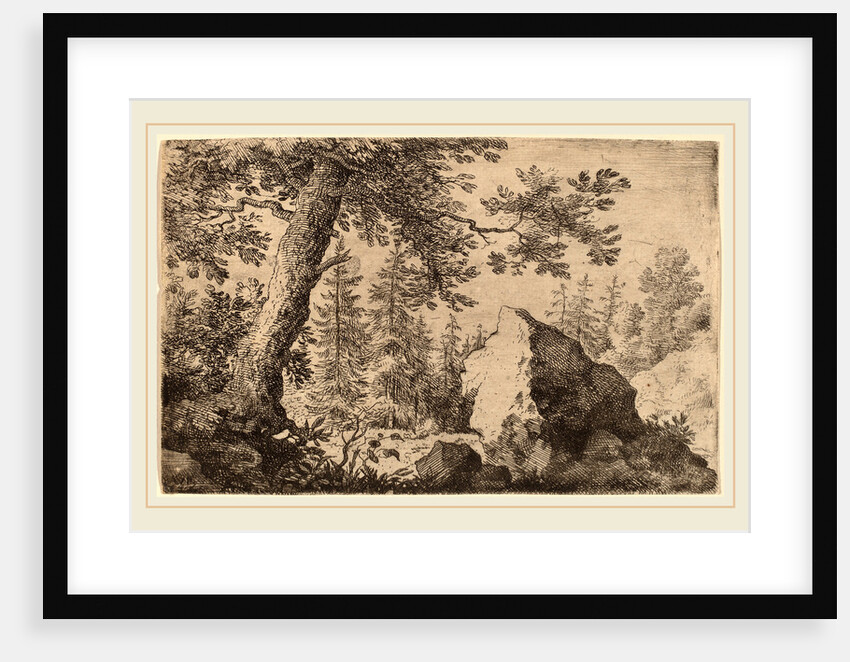 Boulder in the Woods by Allart van Everdingen
