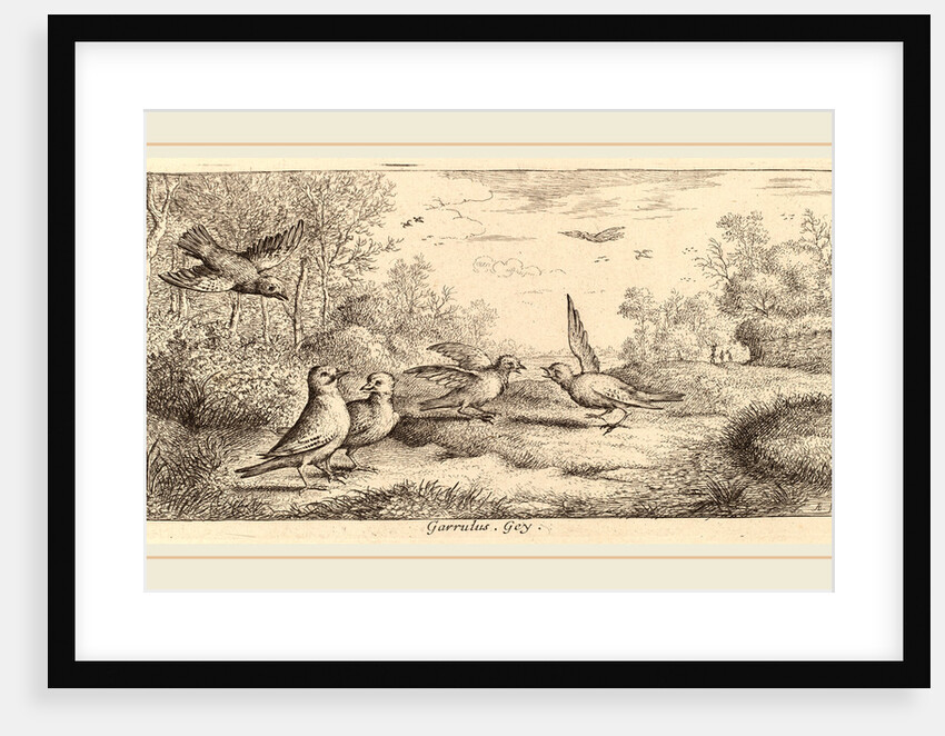 Garrulus, The Jay by Albert Flamen