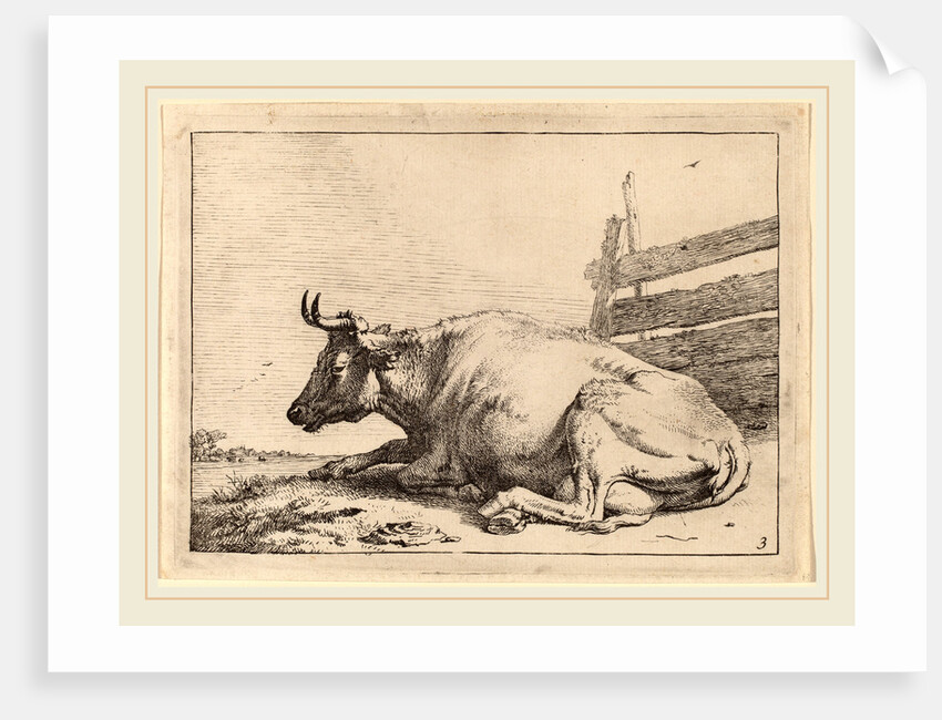Cow Lying Down near a Fence, 1650 by Paulus Potter