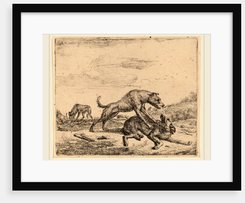 Fighting Dogs by Adriaen van de Velde