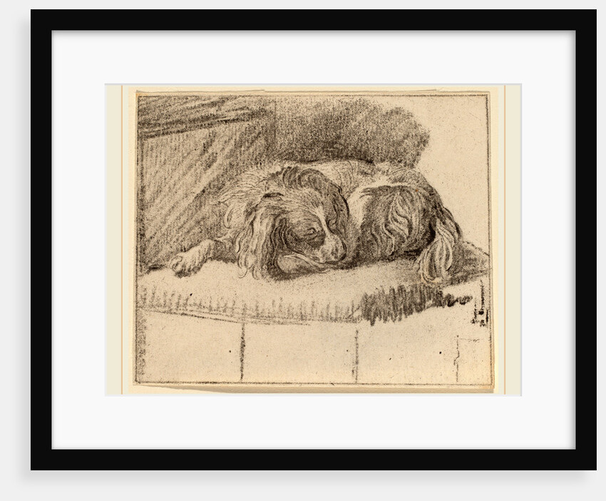 Lying Dog, 1777 by Cornelis Ploos van Amstel and Cornelis Brouwer