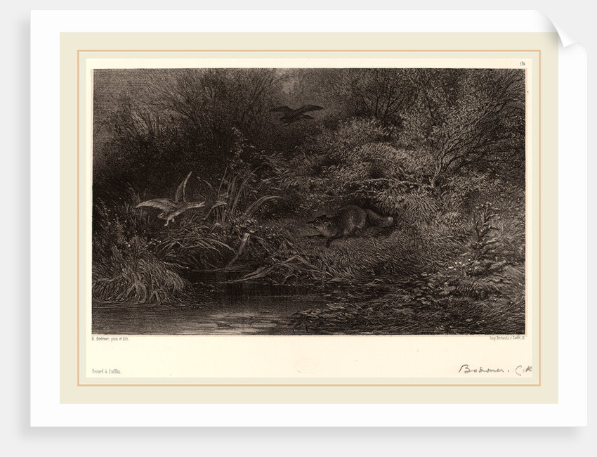 Renard à l'affût, Swiss by Karl Bodmer