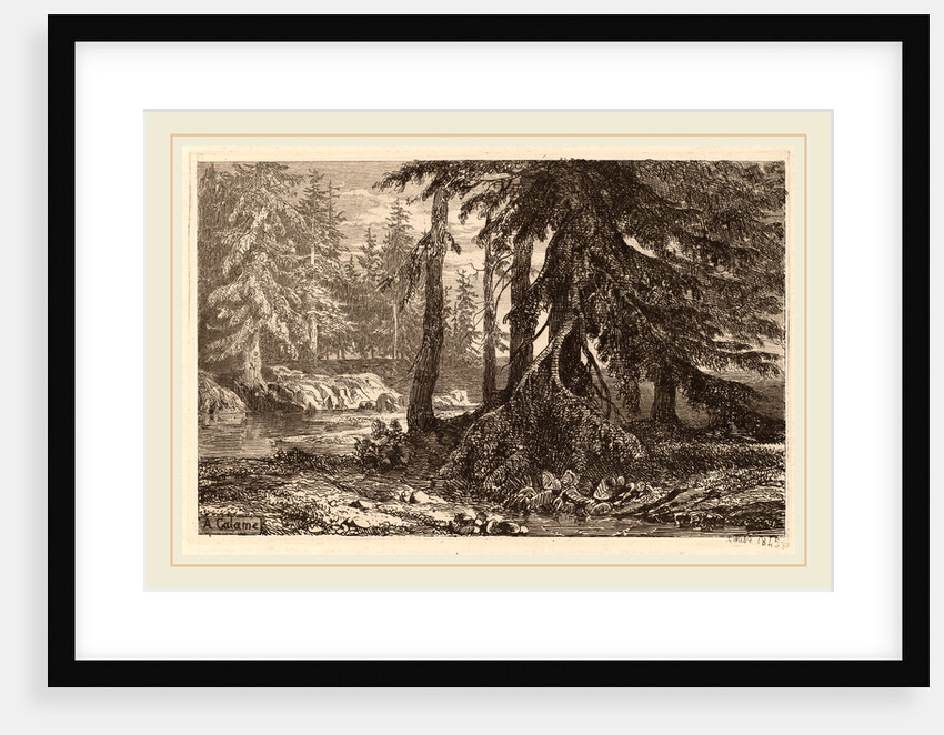 Essais de gravure à l'eau forte par Alexandre Calame, III, pl. 16 by Alexandre Calame