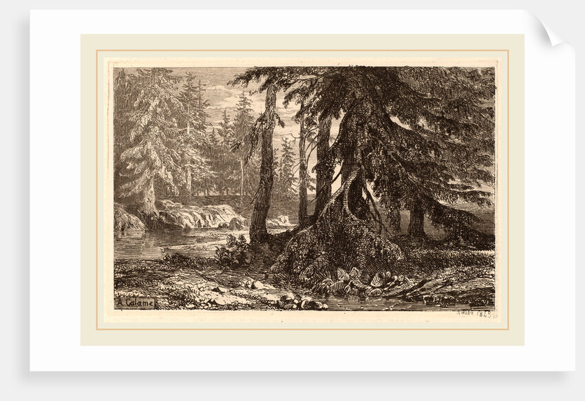 Essais de gravure à l'eau forte par Alexandre Calame, III, pl. 16 by Alexandre Calame
