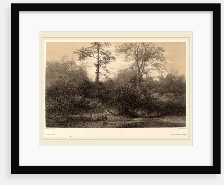 Canards Sauvages, Swiss by Karl Bodmer